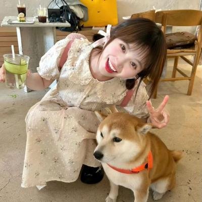 厄月惊魂曲